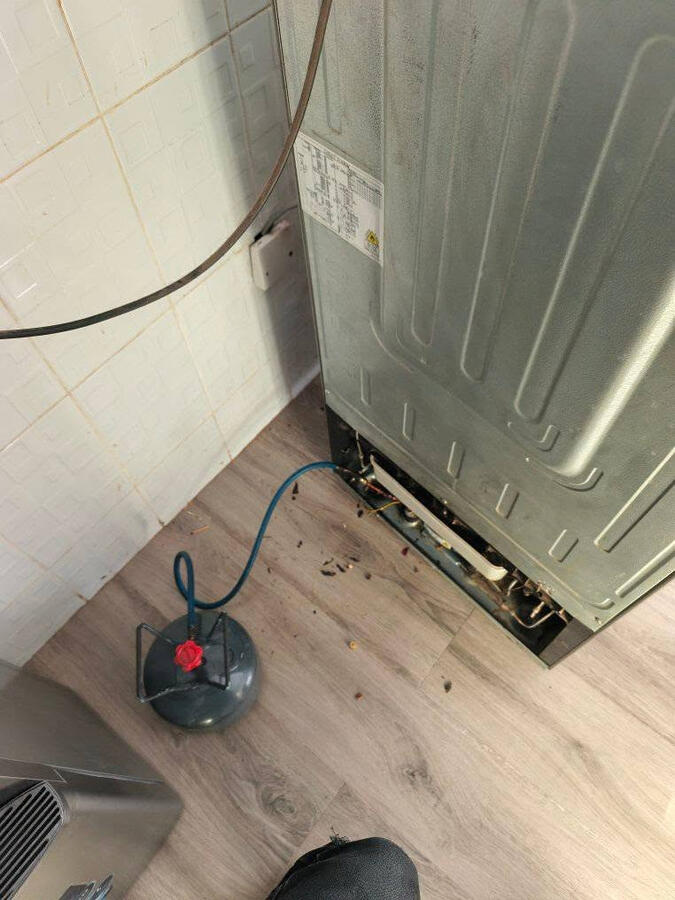 Call us today for your fridge/freezers rescue!